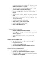 Biznesa plāns 'SIA "Audz vesels"', 14.