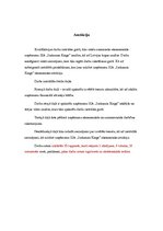 Referāts 'Анализ финансового положения ООО "Sarkanais Kings" и предложения по его улучшени', 4.