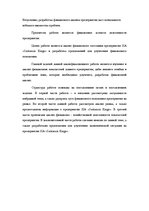 Referāts 'Анализ финансового положения ООО "Sarkanais Kings" и предложения по его улучшени', 8.