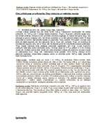 Referāts '14.-18.gs. Latvijas pilis', 3.