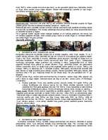 Referāts '14.-18.gs. Latvijas pilis', 6.