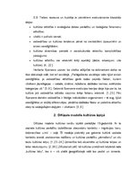 Referāts '19.-21.gadsimta galveno kulturoloģisko teoriju raksturojums', 3.