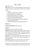 Konspekts 'Izvērsta vienas dienas nodarbība. Sniegavīri', 1.