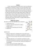 Referāts 'Izjaucamas kontrukcijas', 10.