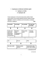Referāts 'Patērētāju attieksme pret "The Body Shop" smaržu iepakojumu', 5.