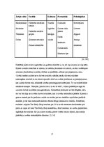 Referāts 'Patērētāju attieksme pret "The Body Shop" smaržu iepakojumu', 17.