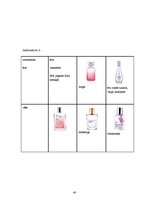 Referāts 'Patērētāju attieksme pret "The Body Shop" smaržu iepakojumu', 40.