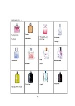 Referāts 'Patērētāju attieksme pret "The Body Shop" smaržu iepakojumu', 42.