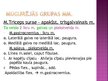 Prezentācija 'Apakšējās ekstremitātes muskuļi', 46.