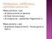 Prezentācija 'Apakšējās ekstremitātes muskuļi', 57.