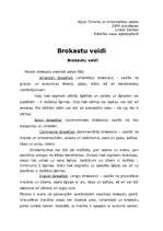 Referāts 'Brokastu veidi', 1.