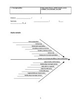 Prakses atskaite 'Personālvadības plāns jaunam uzņēmumam', 6.