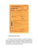 Konspekts 'TIR konvencijas darbības mērķi', 8.