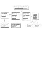 Eseja 'Nometne bērniem no maznodrošinātām ģimenēm "Saulstariņš"', 4.