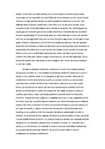 Eseja 'Socializācijas process', 5.