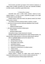 Referāts 'Z/s ražošanas attīstība', 19.