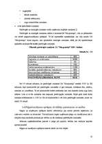 Referāts 'Z/s ražošanas attīstība', 20.