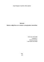 Referāts 'Kultūru atšķirības un to ietekme uz starpkultūru attiecībām', 1.