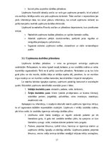 Referāts 'Finanšu pārvaldība un darbības plānošana Latvija pasts', 17.