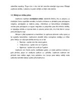 Referāts 'Finanšu pārvaldība un darbības plānošana Latvija pasts', 19.