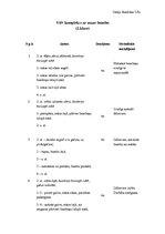 Paraugs 'Vingrojumu komplekss ar mazo bumbu', 1.