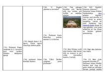 Konspekts '18.gadsimta hronoloģijas tabula', 11.