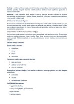 Konspekts 'Imunitāte', 2.