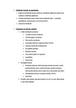 Konspekts 'Studiju kurss "Didaktika". Patstāvīgais darbs', 3.