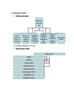 Konspekts 'Studiju kurss "Didaktika". Patstāvīgais darbs', 4.
