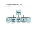 Konspekts 'Studiju kurss "Didaktika". Patstāvīgais darbs', 6.