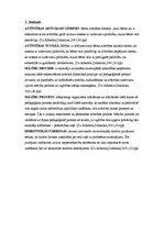 Konspekts 'Studiju kurss "Didaktika". Patstāvīgais darbs', 7.