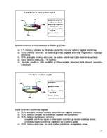 Referāts 'Kreilība', 25.