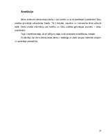 Referāts 'Kreilība', 31.