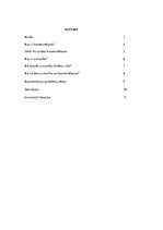 Referāts 'Uzmanība un koncentrēšanās', 2.