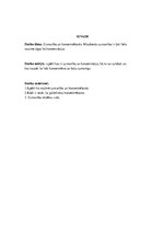 Referāts 'Uzmanība un koncentrēšanās', 3.