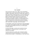 Referāts 'Uzmanība un koncentrēšanās', 6.