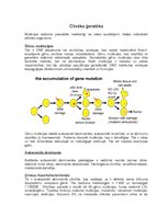 Konspekts 'Cilvēka ģenētika. Mutācijas', 1.