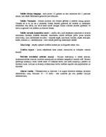 Konspekts 'Tūrisma maršruts Sabiles pilsētā un tās apkārtnē', 4.