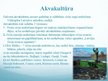 Prezentācija 'Zivsaimniecība Latvijā', 16.
