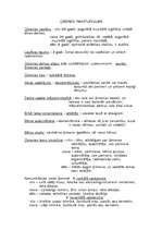 Konspekts 'Ģimenes raksturojums', 1.