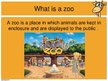 Prezentācija 'Keeping Wild Animals in Zoos', 2.