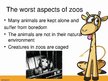 Prezentācija 'Keeping Wild Animals in Zoos', 5.