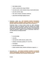 Konspekts 'Latviešu valodas 12.klases eksāmena biļetes', 6.