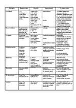 Konspekts 'Ideoloģijas', 1.