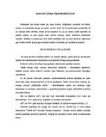 Referāts 'Masu kultūras transformācijas', 2.