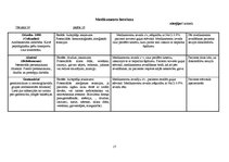 Prakses atskaite 'Aprūpes plāns ķirurģijā', 17.