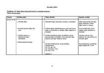 Prakses atskaite 'Aprūpes plāns ķirurģijā', 19.