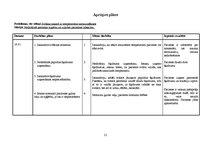 Prakses atskaite 'Aprūpes plāns ķirurģijā', 21.