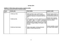 Prakses atskaite 'Aprūpes plāns ķirurģijā', 24.