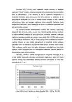 Diplomdarbs 'Grāmatvedības darba organizācija SIA "Centrs"', 10.